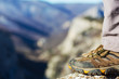 Foto: Hiking boots Hiking boots