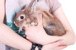 Photo: Rabbit Rabbit