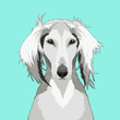 Saluki