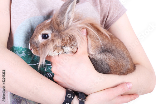 Photo: Rabbit Rabbit