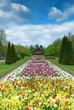 beautiful alley in the Park with exotic plants