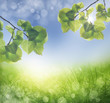 Photo: Abstract spring background Abstract spring background