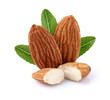 Almonds kernel with leaves