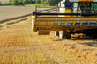 Yellow harvester combine on field harvesting gold wheat