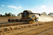 Yellow harvester combine on field harvesting gold wheat