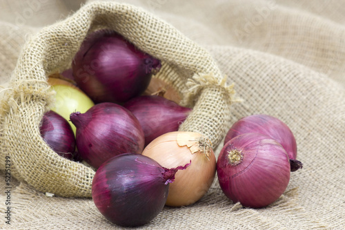 Photo: Fresh onions in package Fresh onions in package