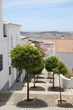 Rue de Medina-Sidonia, Andalousie