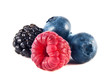 Fresh blueberries, raspberry and blackberry isolated