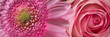 Pink flowers banner
