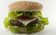 Hamburger di carne