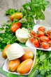 fennel and tomatoes