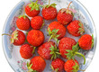 Berries of strawberry 31