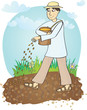 The sower