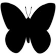 Schmetterling