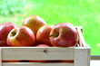 Gala apples