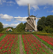 Holland