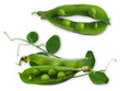 canvas print picture - peas_leaves_composition