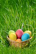 Photo: Easter eggs in the basket on the green grass Easter eggs in the basket on the green grass