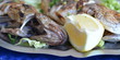 poisson