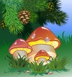 Mushroom