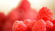 Raspberry fruit gyrating loop