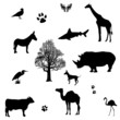 vector set of animals silhouette