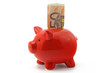 sparschwein mit euro