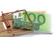 euro in mausefalle
