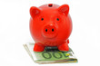 sparschwein mit euro