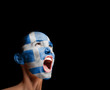 The Greek flag