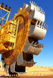 The excavator