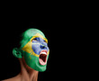 The Brazilian flag