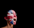 The British flag