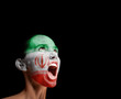 The Iranian flag