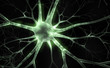 Illustration: Floureszierendes Neuron Floureszierendes Neuron