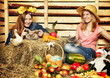 Harvest Home