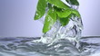Fresh mint falls under water with a splash. 