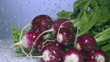 Fresh radish under water with a splash. 