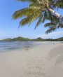 plage des Seychelles sous les cocotiers