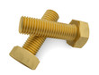 Two brass bolt