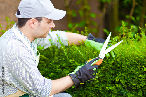 Photo: Gardener at work Gardener at work
