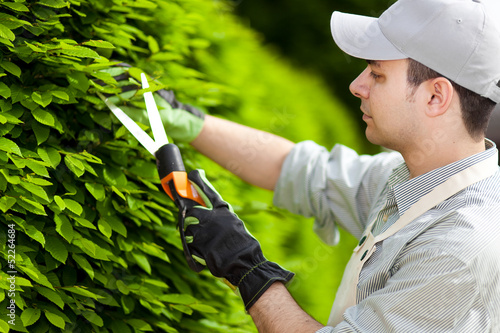 Photo: Gardener at work Gardener at work