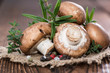 Heap of brown Mushrooms