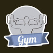 fitness vector