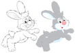 Hare