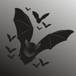 fledermaus1205a