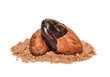 Cocoa beans closeup on cocoa powder
