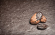 Cocoa beans on chocolate background