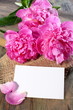 Three pink peony and card.