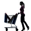 Photo: woman with full shopping cart silhouette woman with full shopping cart silhouette